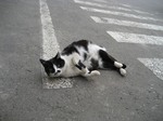 2007.3.24 068.jpg