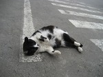 2007.3.24 070.jpg