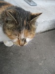 2007.3.24 071.jpg