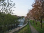 2007.5.9 005.jpg